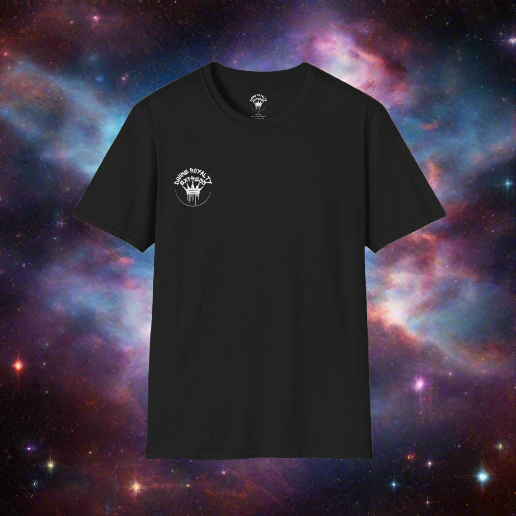 Universal Laws In Effect Softstyle T-Shirt