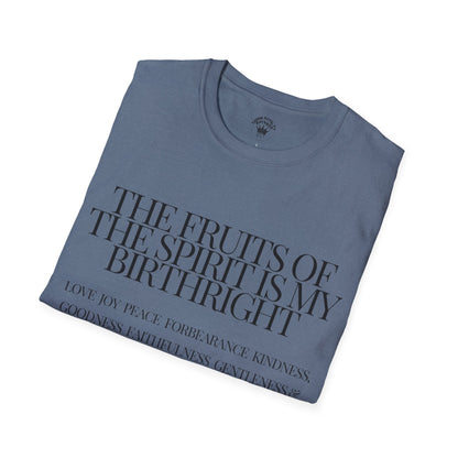 Birthright Softstyle T-Shirt