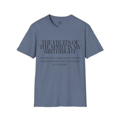 Birthright Softstyle T-Shirt