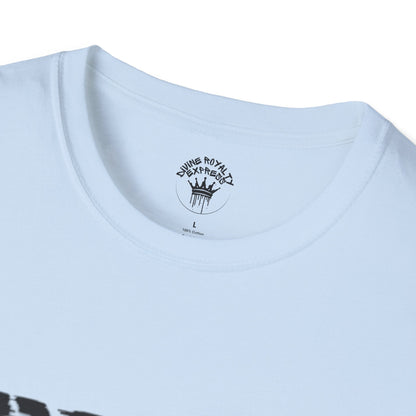 Diviner Softstyle T-Shirt