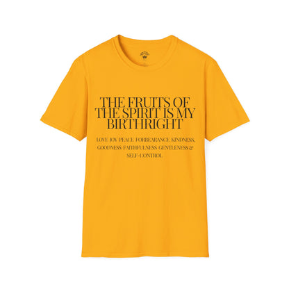 Birthright Softstyle T-Shirt